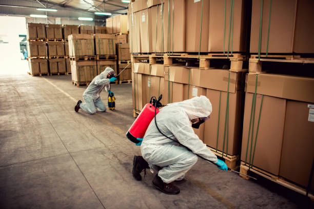 Best Exterminator Services  in Platte, SD