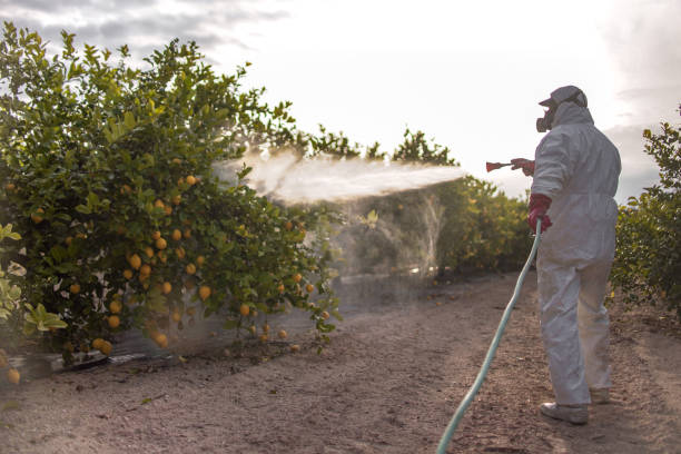 Pest Prevention Services in Platte, SD