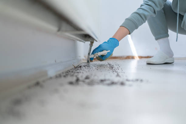 Best Commercial Pest Control Services  in Platte, SD
